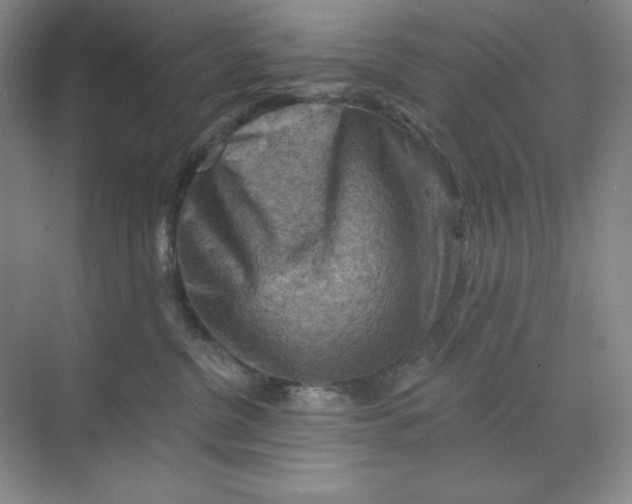 X0000068820380200605191839