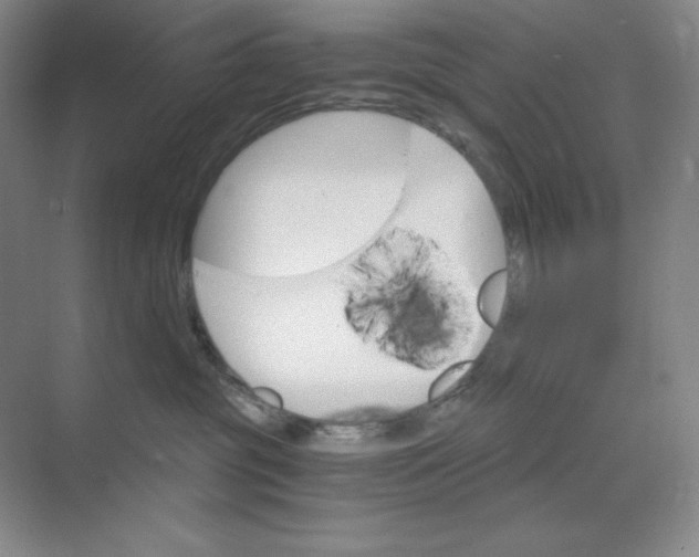 X0000068820381200605191839