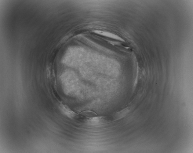 X0000068820382200605191839