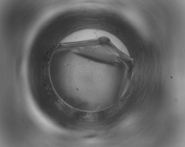 X0000068820383200605191839