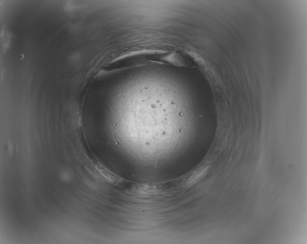 X0000068820384200605191839