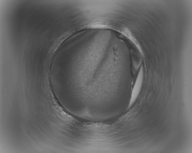 X0000068820385200605191839