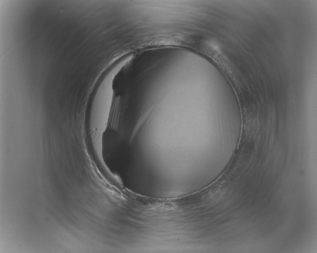 X0000068820386200605191839