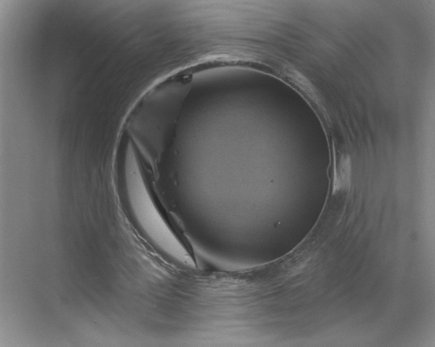 X0000068820387200605191839