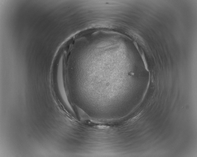 X0000068820388200605191839