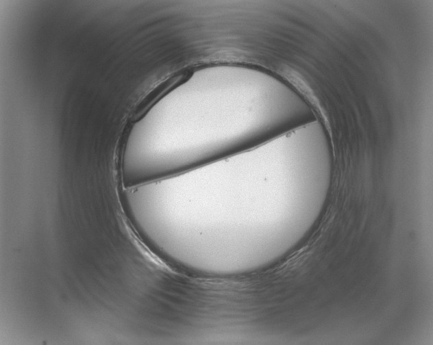 X0000068820389200605191838