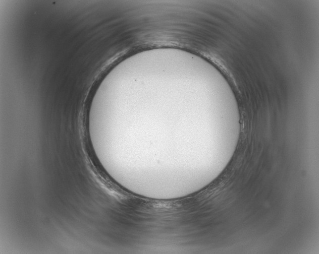 X0000068820390200605191838