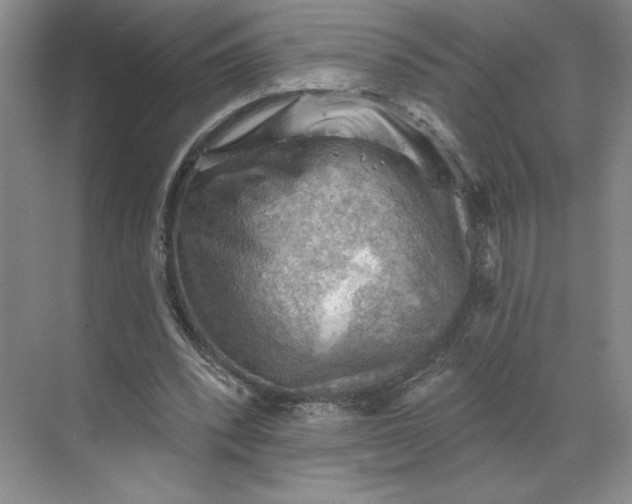 X0000068820392200605191838