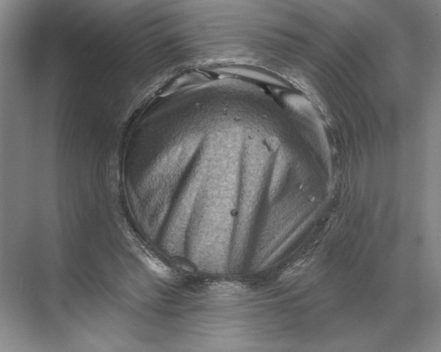 X0000068820397200605191838