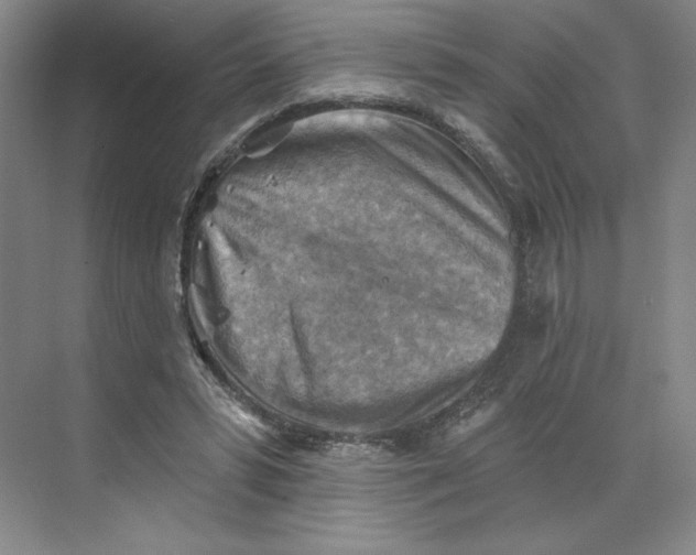 X0000068820399200605191838