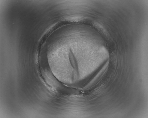 X0000068820400200605191838