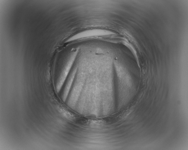 X0000068820401200605191838