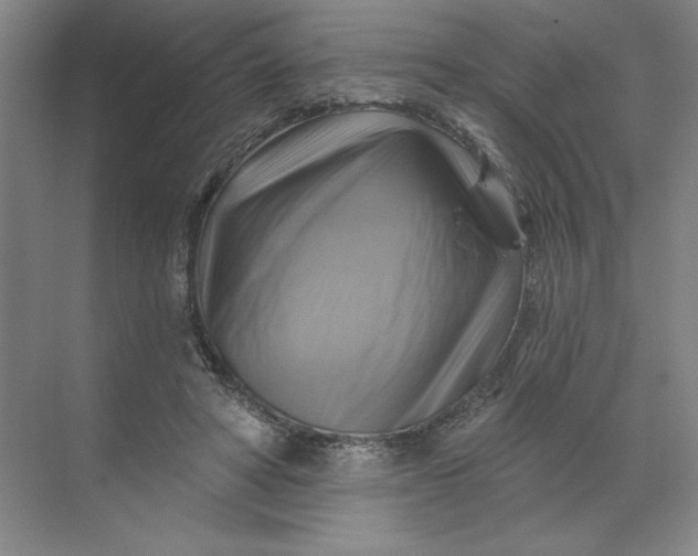 X0000068820402200605191838