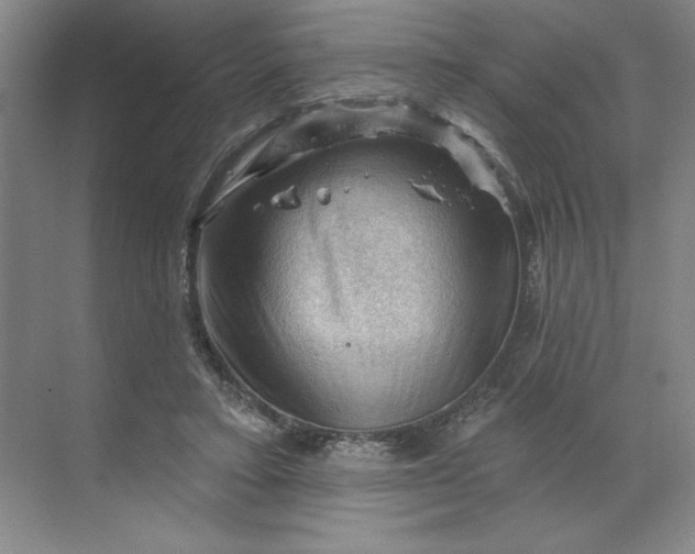 X0000068820403200605191838