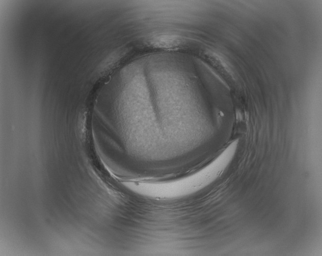 X0000068820404200605191838