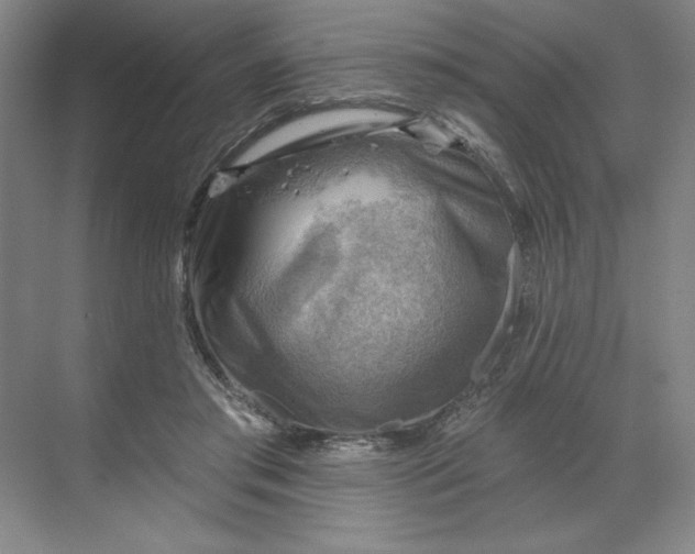 X0000068820405200605191838