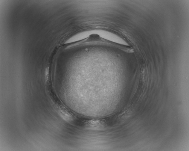 X0000068820406200605191838