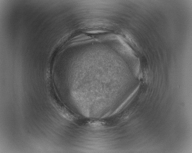 X0000068820407200605191838