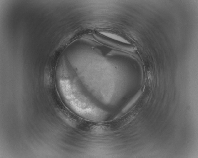 X0000068820408200605191838