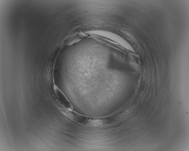 X0000068820409200605191838