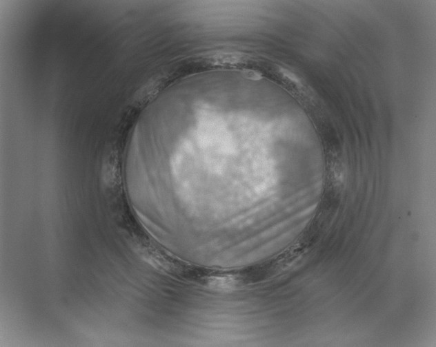 X0000068820411200605191838