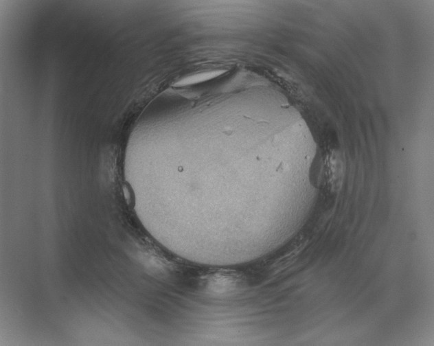 X0000068820412200605191838