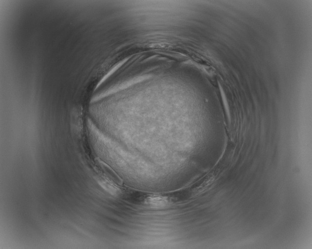 X0000068820413200605191838