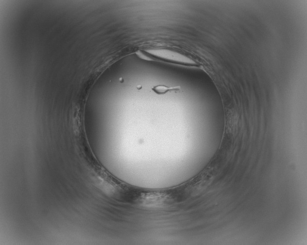 X0000068820414200605191838