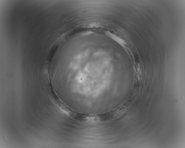 X0000068820415200605191838