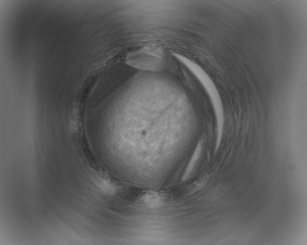 X0000068820416200605191838