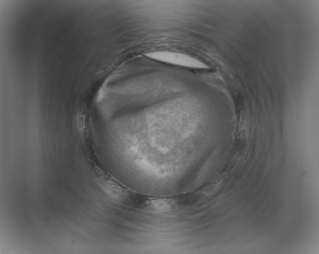 X0000068820417200605191838