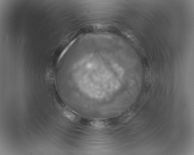 X0000068820419200605191838