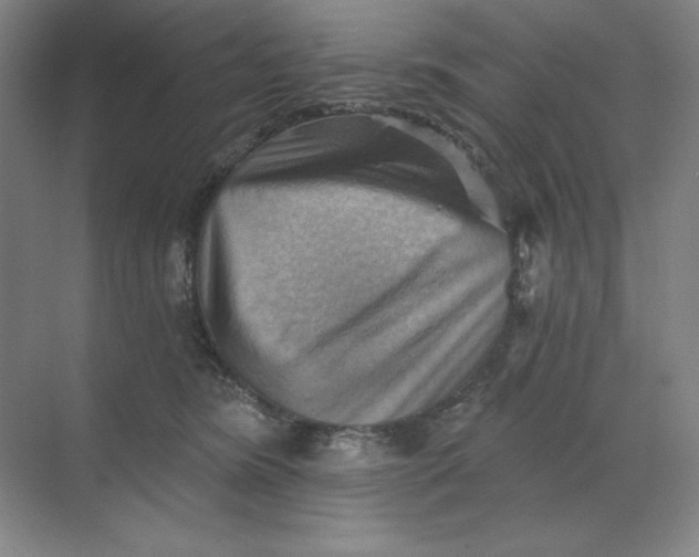 X0000068820420200605191838