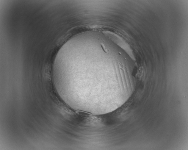 X0000068820421200605191838