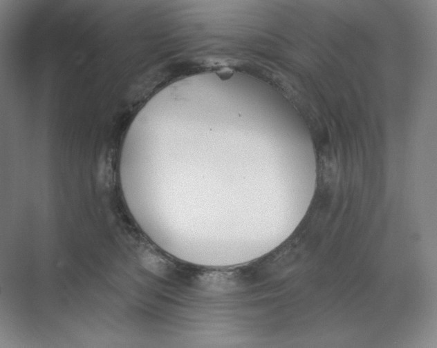 X0000068820422200605191838