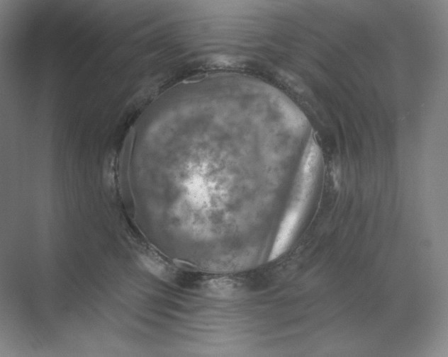 X0000068820423200605191838