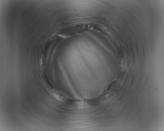 X0000068820424200605191838