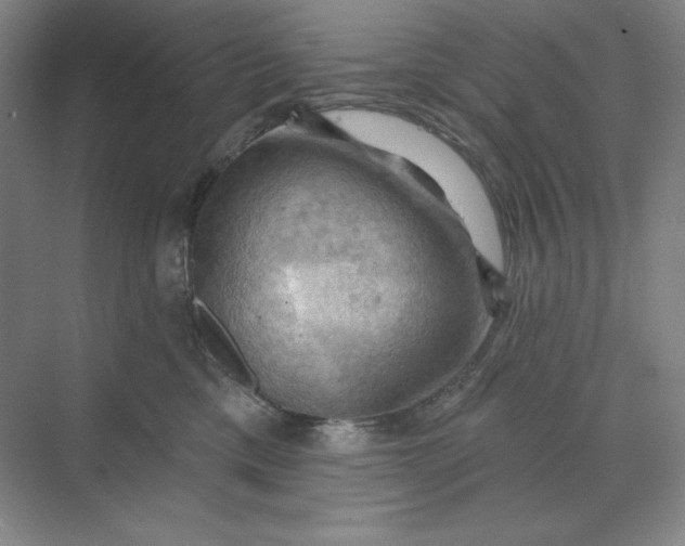 X0000068820425200605191838