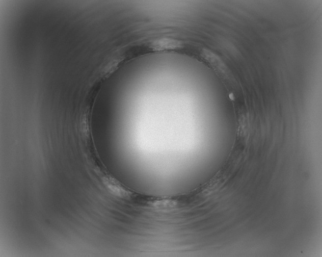 X0000068820426200605191838