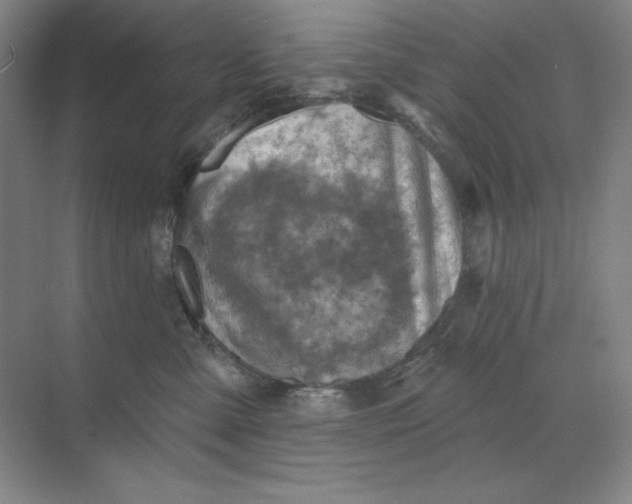 X0000068820427200605191838