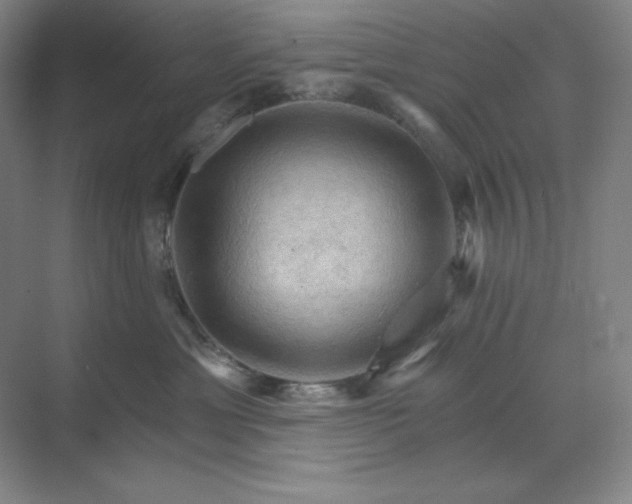 X0000068820429200605191838