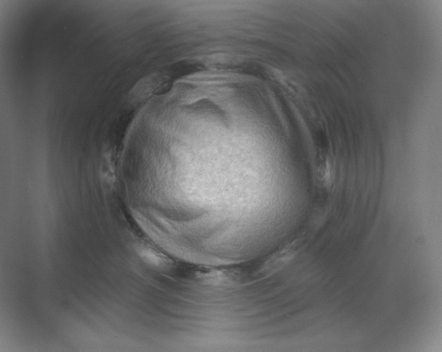 X0000068820430200605191838