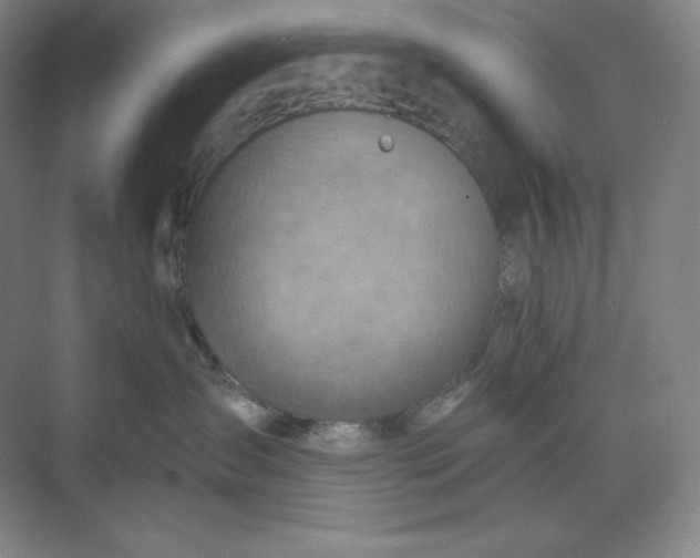 X0000068820431200605191838