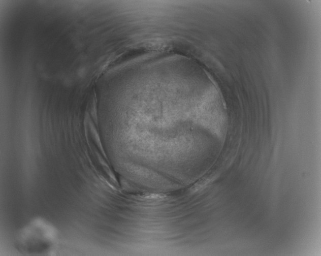 X0000068820432200605191838