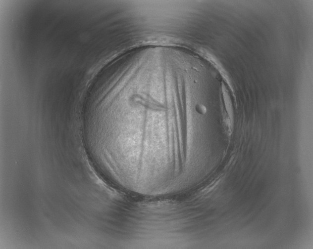 X0000068820433200605191837