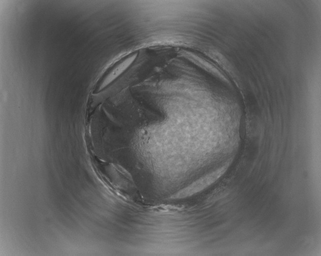 X0000068820434200605191837