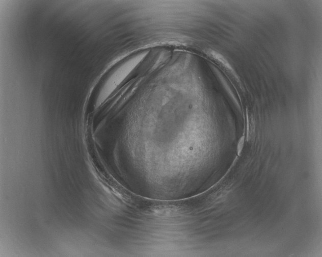 X0000068820435200605191837