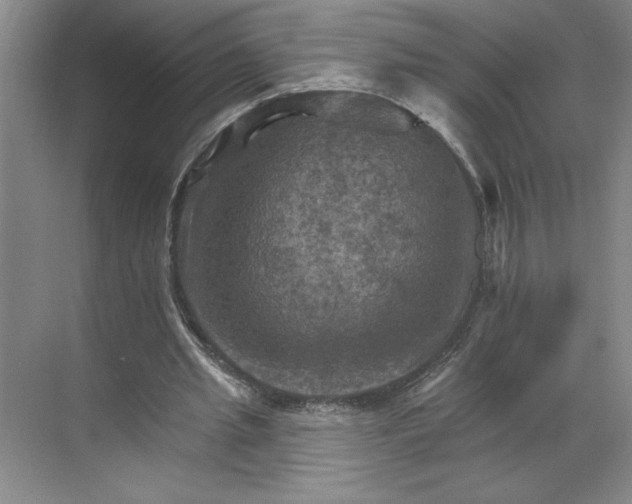 X0000068820437200605191837