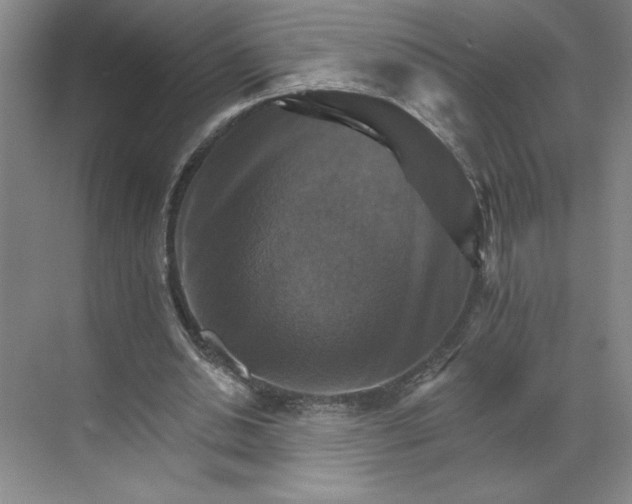 X0000068820438200605191837