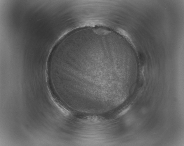 X0000068820439200605191837